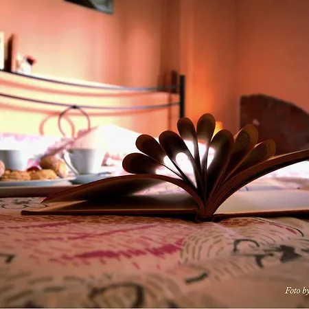 Bed & Breakfast Le Palme D'oro