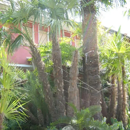 Le Palme D'oro Bed and breakfast Grisignano di Zocco