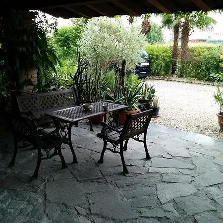 Le Palme D'oro 3*