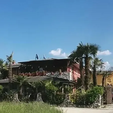 Le Palme D'oro