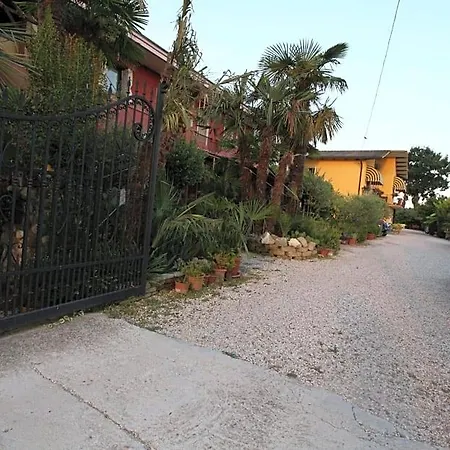 Le Palme D'oro Bed & Breakfast Grisignano di Zocco