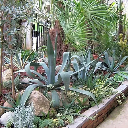 Bed & Breakfast Le Palme D'oro Grisignano di Zocco