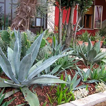 Le Palme D'oro Bed & Breakfast 3*