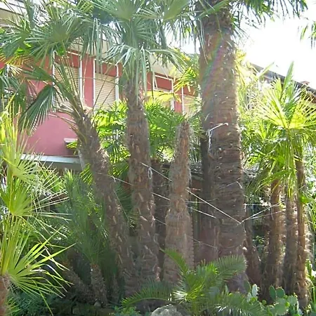 Le Palme D'oro Bed & Breakfast