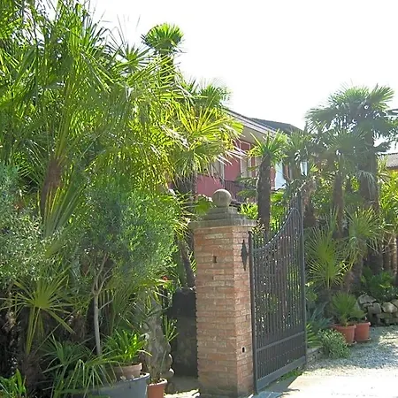 Le Palme D'oro Bed & Breakfast Grisignano di Zocco