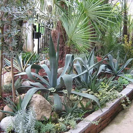 Bed and breakfast Le Palme D'oro Grisignano di Zocco