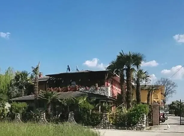 Le Palme D'oro
