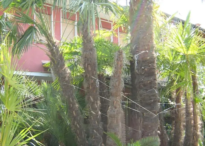 Le Palme D'oro Bed & Breakfast Grisignano di Zocco